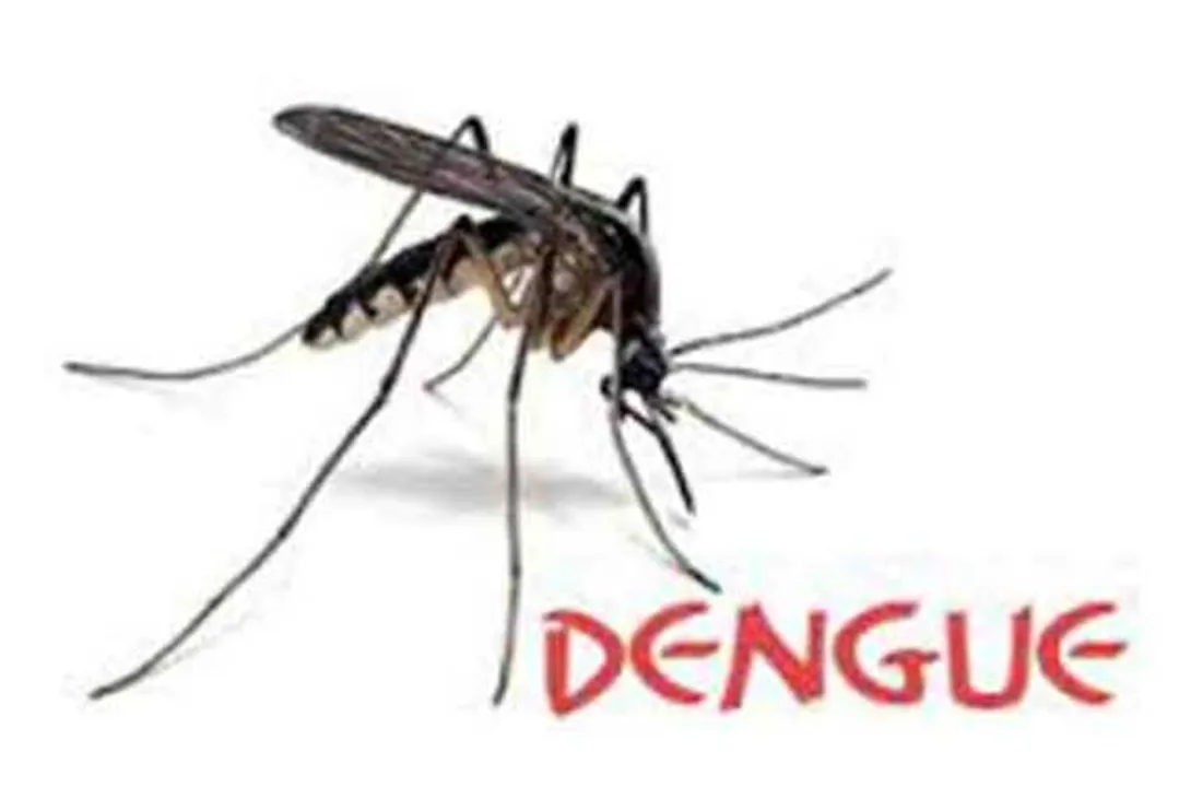  ଏସ୍‌ସିବିରେ ଆଉ ଜଣେ ଡେଙ୍ଗୁ ରୋଗୀଙ୍କ ମୃତ୍ୟୁ: ସଂଖ୍ୟା ଛୁଇଁଲା ୬