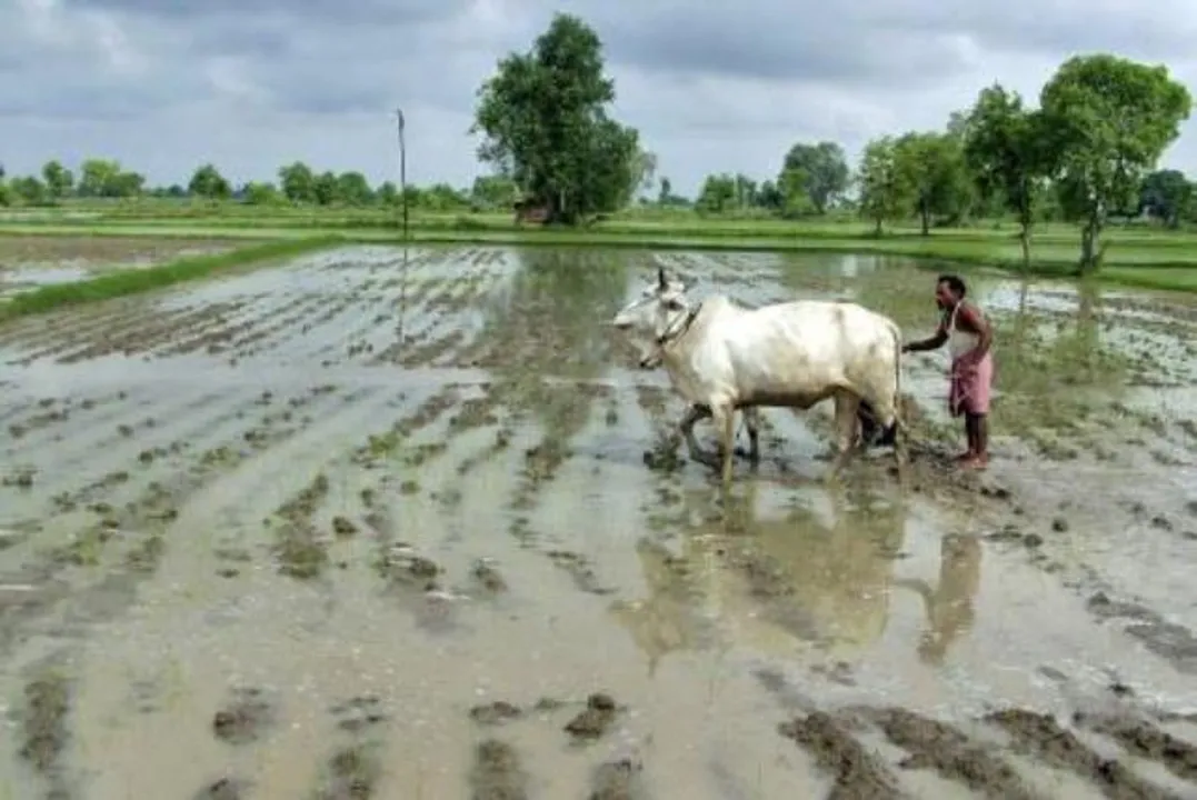 ଭାଗଚାଷୀ ଆଇନ ଏବେ  ହେବାର ନାହିଁ