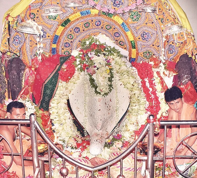  ଧବ‌ଳମୁଖୀ ବେଶରେ ସମଲେଶ୍ବରୀ