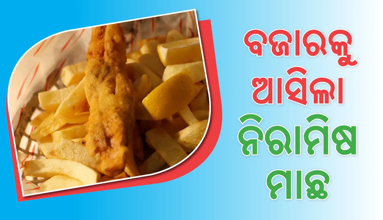  ଏଠାରେ ମିଳୁଛି ଶାକାହାରୀ ମାଛ