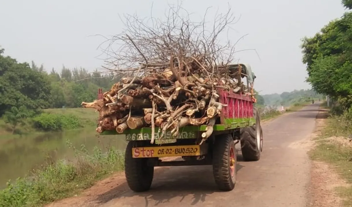  ନଦୀପଠାରୁ ଅବାଧ ଗଛକଟାକୁ ନେଇ ଦୁଇଗୋଷ୍ଠୀ ମୁହାଁମୁହିଁ