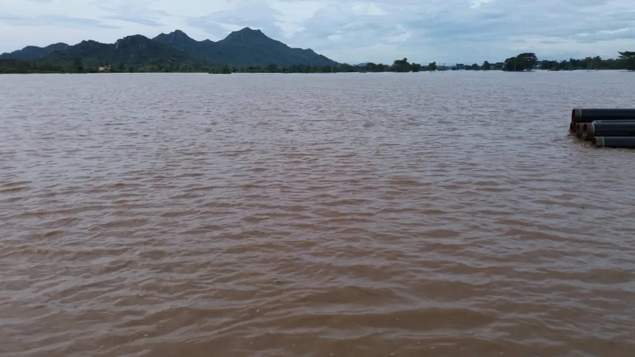 ବନ୍ୟା ବିଭୀଷିକା: ଗୁଣପୁରରେ ଇନ୍‌ଭଟର ବ୍ୟାଟେରୀ ଚାର୍ଜିଂ ପାଇଁ ଦେବାକୁ ପଡୁଛି ୪୦୦ ଟଙ୍କା, ଆସ୍କାରେ ୫୦,୦୦୦ ଲୋକ ଜଳବନ୍ଦୀ