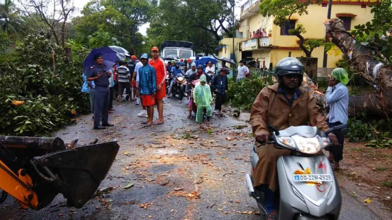  ଆନ୍ଧ୍ରରେ ତାଣ୍ଡବ ରଚିଲା ତିତଲି, ୮ ମୃତ