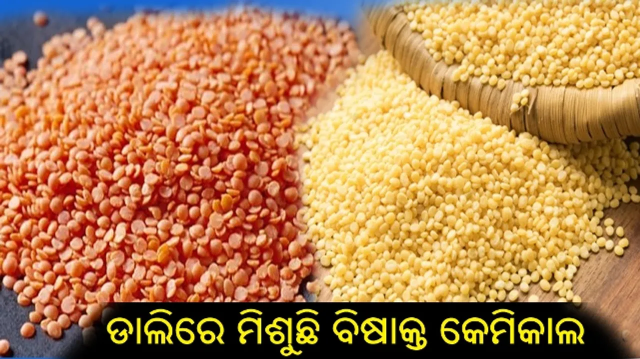  ଡାଲିରେ ମିଶୁଛି ବିଷାକ୍ତ କେମିକାଲ : ମୁଗ ଓ ମସୋରି ଡାଲିଠାରୁ ଦୂରେଇ ରହିବା ପାଇଁ ସତର୍କ ସୂଚନା ଜାରି କଲା ଫୁଡ ସେଫ୍ଟି ଆଣ୍ଡ ଷ୍ଟାଣ୍ଡାର୍ଡ ଅଥରିଟି ଅଫ ଇଣ୍ଡିଆ