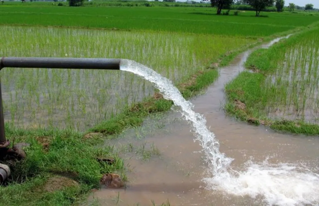  ଚଳିତବର୍ଷ ୧ଲକ୍ଷ ୪୯ ହେକ୍ଟର ଜମିକୁ ଜଳସେଚନ