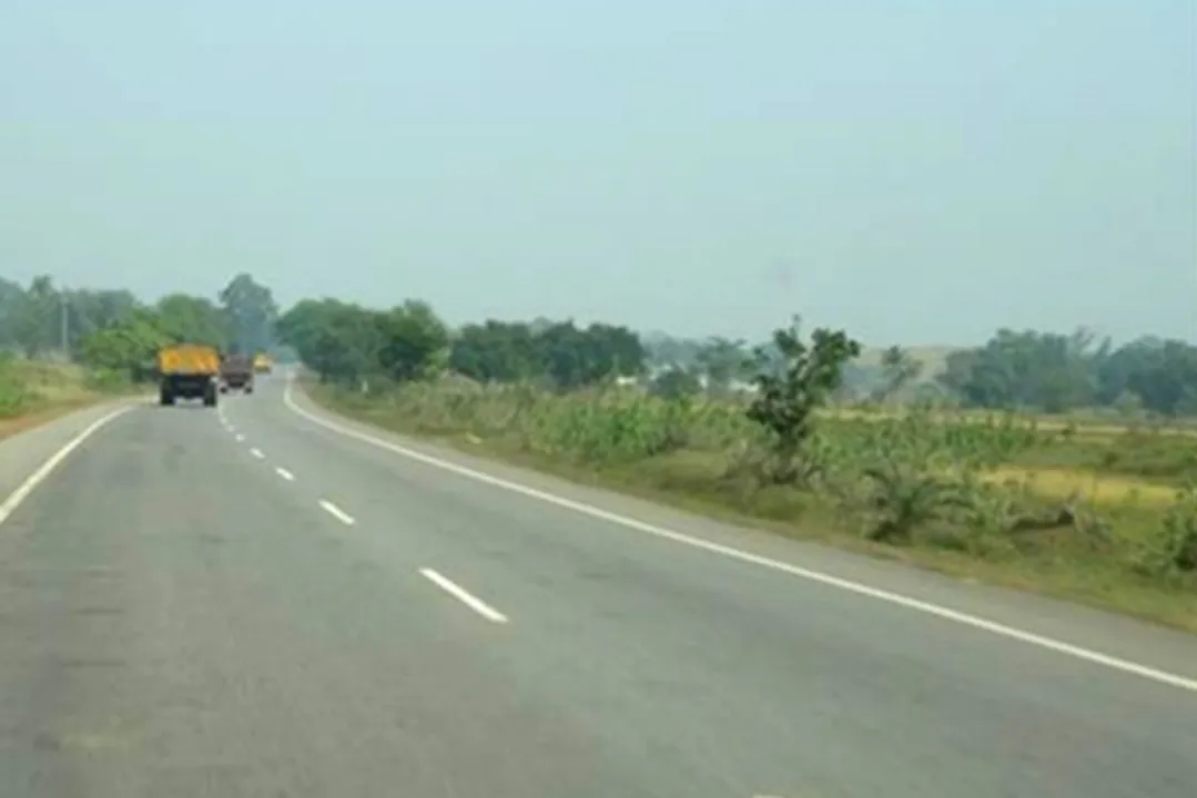  ଏନ୍‌ଏଚ୍‌ରେ ଗଛଲଗା କେତେ ସତ?