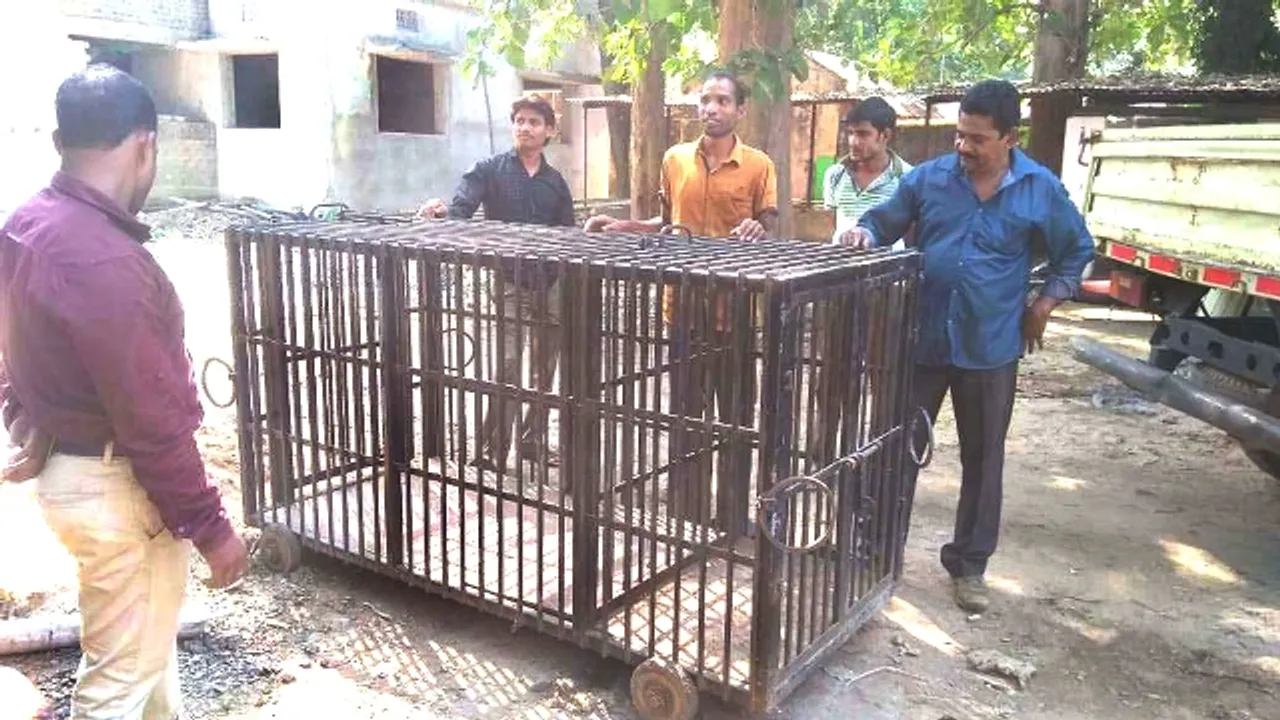  ଜଙ୍ଗଲକୁ ଛୁ’ ମାରିଲା ‘ସୁନ୍ଦରୀ’ : ଆସିଲା ସ୍ବୟଂଚାଳିତ ଯନ୍ତା, ମଧ୍ୟପ୍ରଦେଶରୁ ପହଞ୍ଚିଲେ ୩ଟି ଟିମ୍
