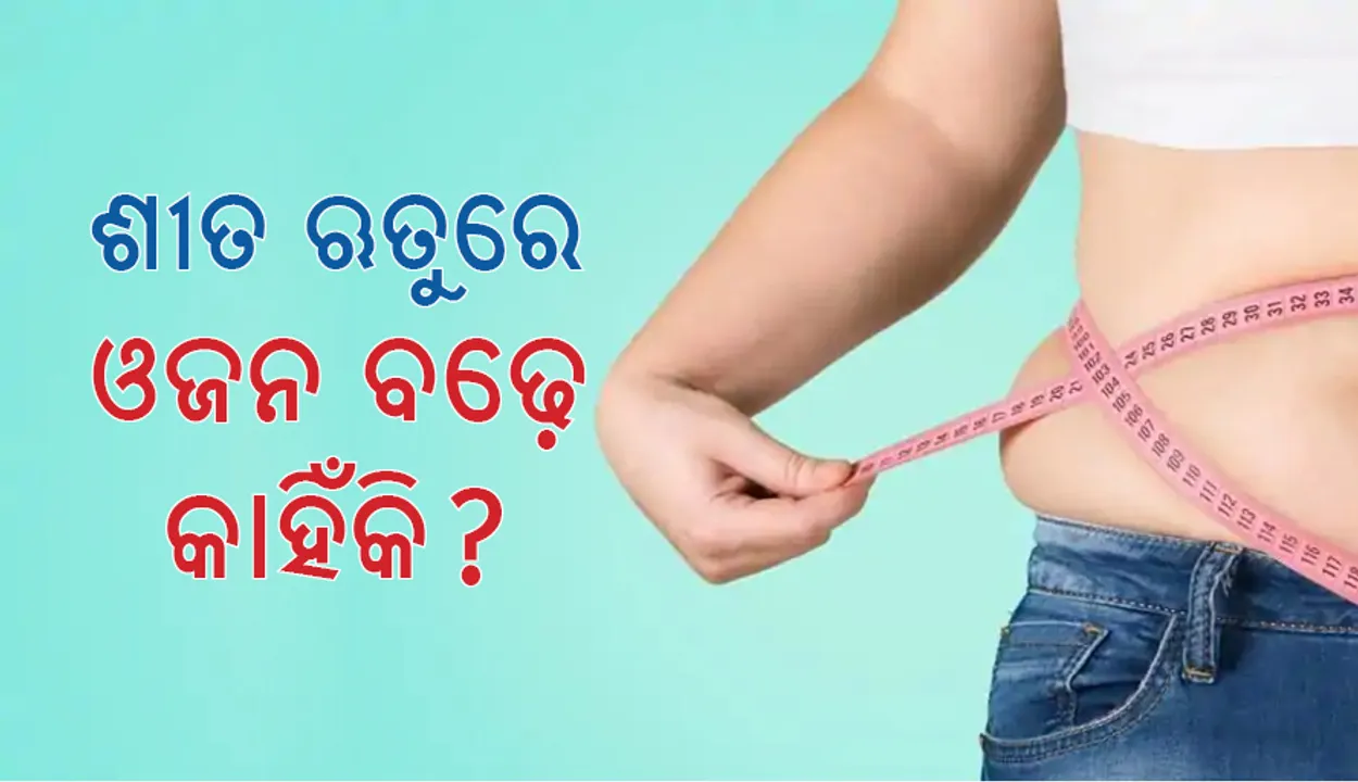  ଶୀତ ଋତୁରେ କାହିଁକି ଓଜନ ବଢ଼ିଯାଏ?