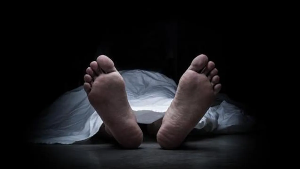  ଡିଭାଇଡର୍‌ରେ ପିଟିହୋଇ ଜଣେ ମୃତ