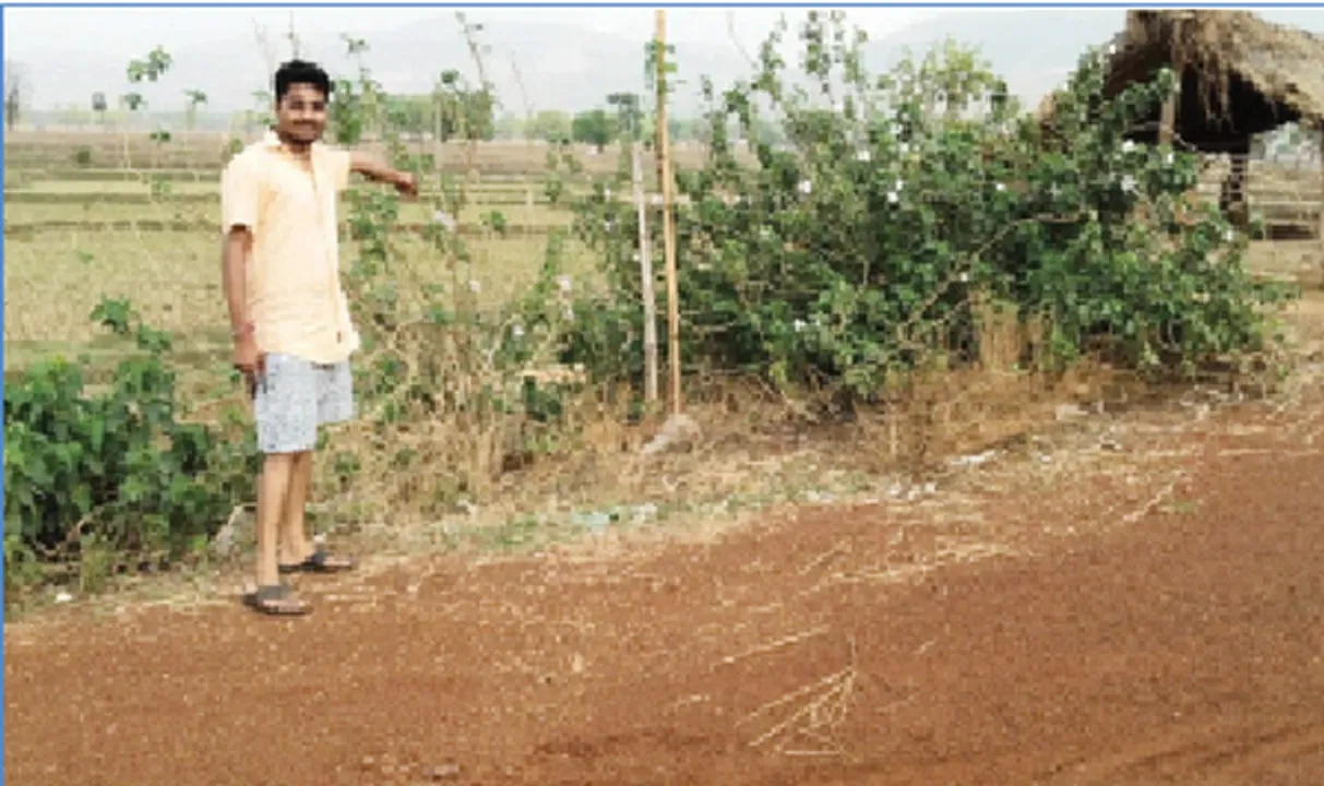  ୨୫ଲକ୍ଷ ଟଙ୍କାର ରାସ୍ତା ଚୋରି :ଆଇଏପି ଅନୁଦାନ କେଳେଙ୍କାରୀ