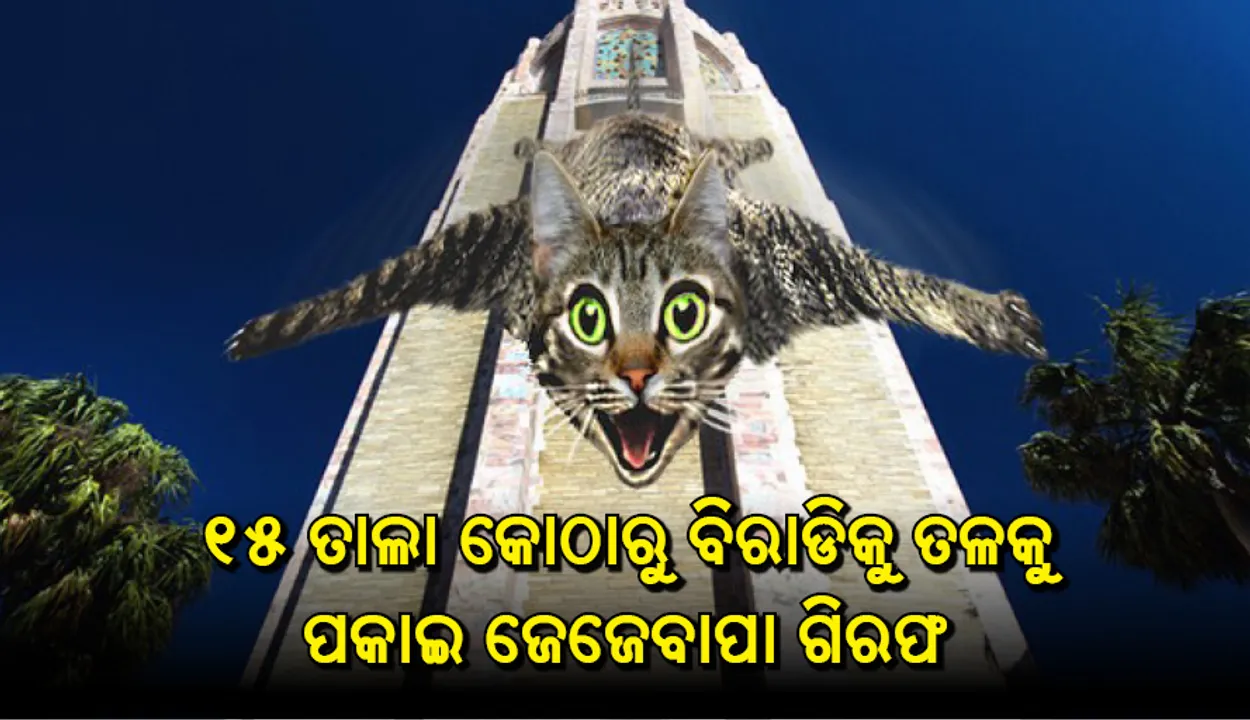  ୧୫ ତାଲାରୁ ପଡ଼ୋଶୀଙ୍କ ବିରାଡ଼ିକୁ ତଳକୁ ପକାଇ ୬୪ ବର୍ଷିୟ ବ୍ୟକ୍ତି ଗିରଫ