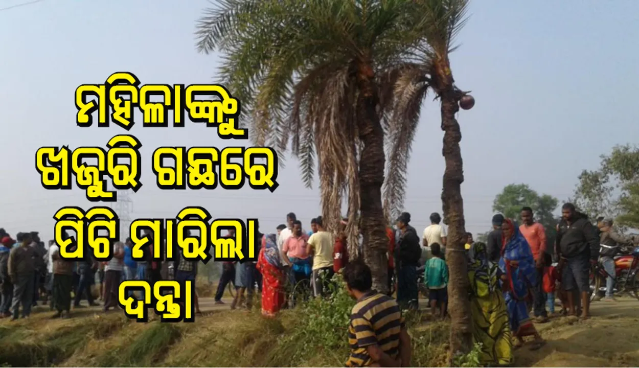  କାମାକ୍ଷାନଗର: ମହିଳାଙ୍କୁ ଖଜୁରି ଗଛରେ ପିଟି ମାରିଲା ଗୋଠଖଣ୍ଡିଆ ଦନ୍ତାହାତୀ