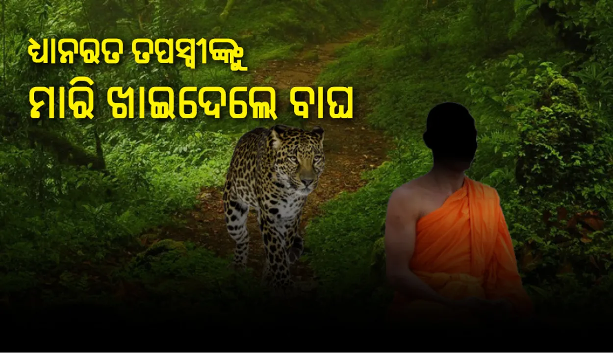  ତପସ୍ୟାରତ ସନ୍ନ୍ୟାସୀଙ୍କୁ ମାରି ଖାଇଦେଲେ ବାଘ