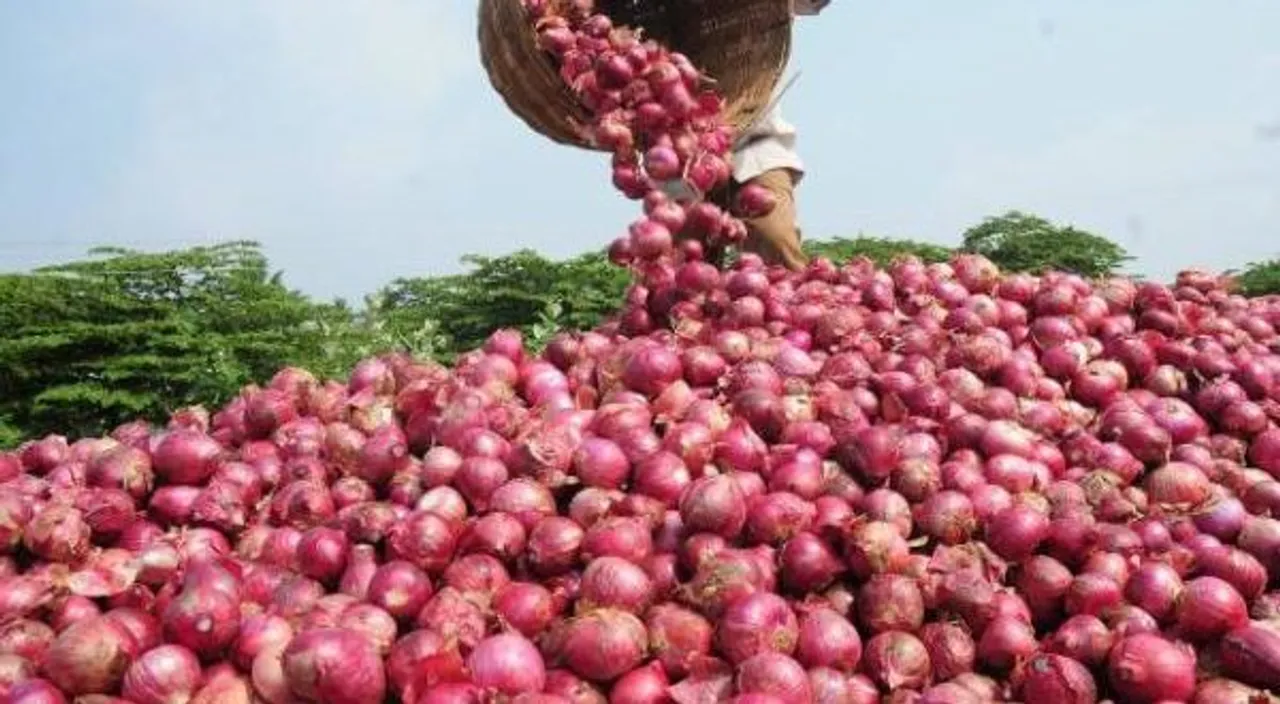  ମହାରାଷ୍ଟ୍ରର ନାସିକରେ ପିଆଜର ହୋଲସେଲ ଦର ୧ ଟଙ୍କା, ଚିନ୍ତାରେ ଚାଷୀ