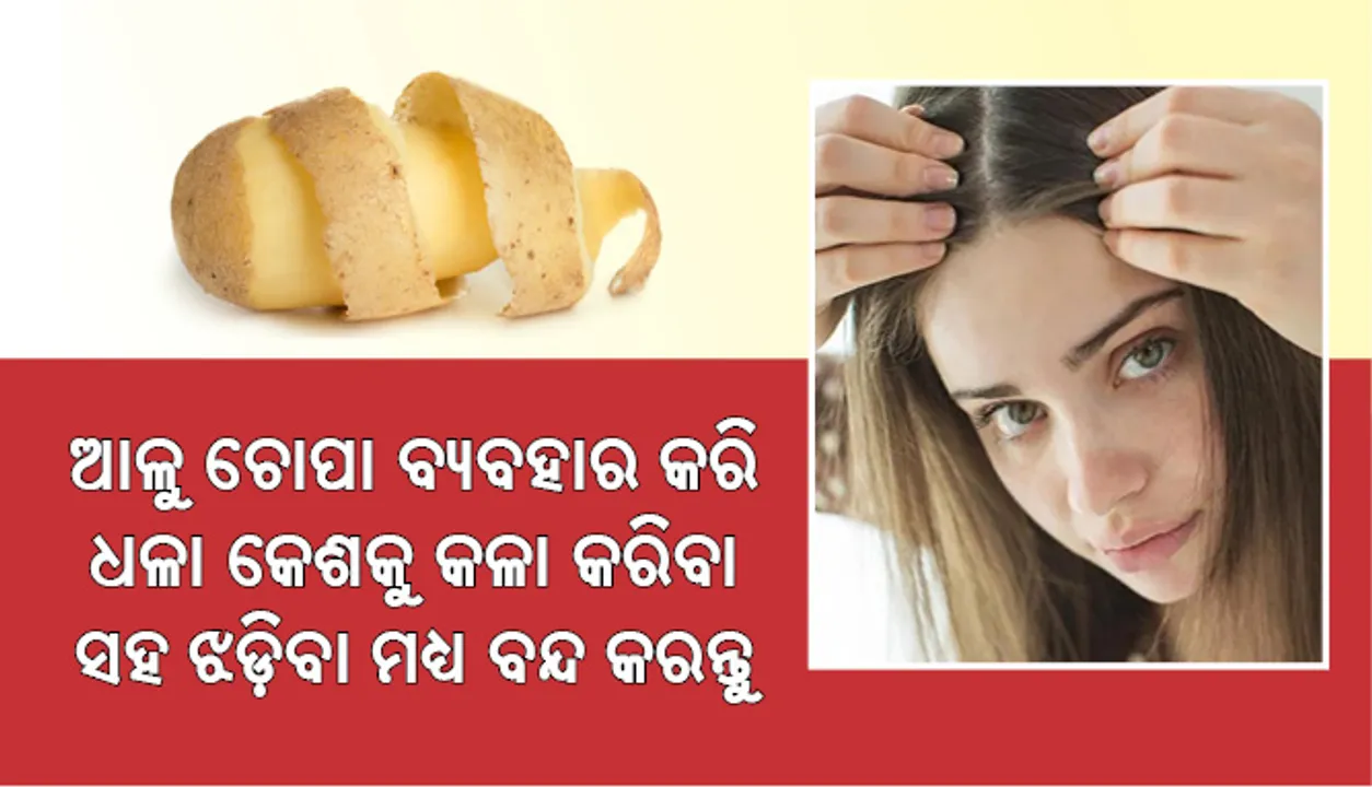  କେଶ କଲର୍‌ ବ୍ୟବହାର କରିବା ବନ୍ଦ କରନ୍ତୁ ଓ ଆଳୁ ଚୋପା ବ୍ୟବହାର କରି ଧଳା କେଶକୁ କଳା କରିବା ସହ ଝଡ଼ିବା ମଧ୍ୟ ବନ୍ଦ କରନ୍ତୁ