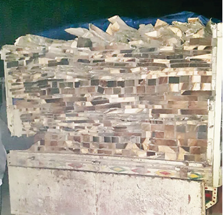  ଲକ୍ଷାଧିକ ଟଙ୍କାର ସାଇଜ କାଠ ଜବତ, ୨ ଅଟକ