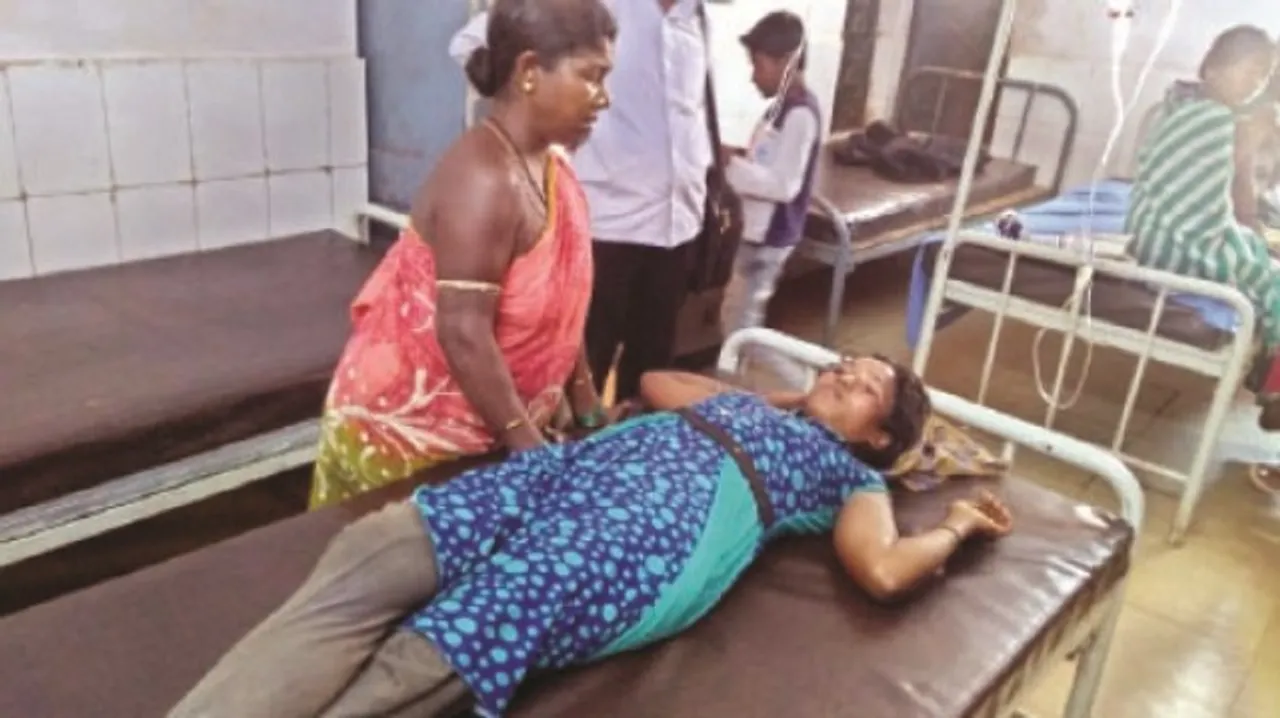  ମହୁମାଛି ଆକ୍ରମଣରେ ୩ ଗୁରୁତର