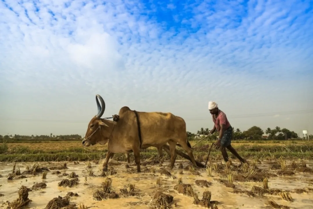  କାହିଁକି ହେଲାନି ଋଣଛାଡ଼?