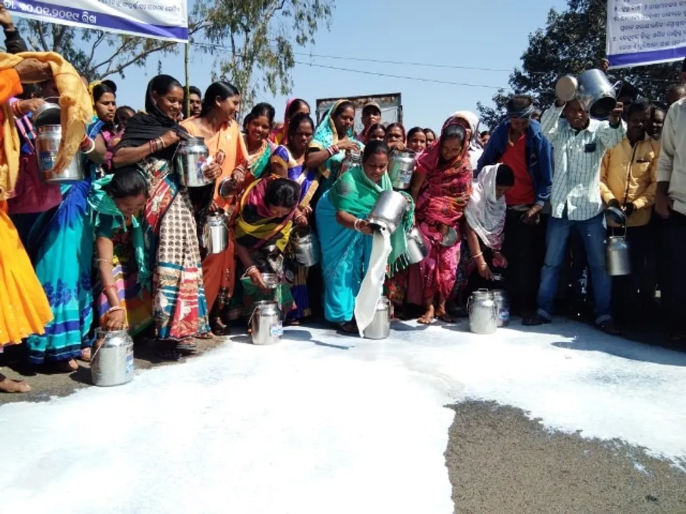  ଦୁଗ୍ଧର ସର୍ବନିମ୍ନ ମୂଲ୍ୟ ଲିଟର ପିଛା ୩୦ ଟଙ୍କା କରିବା ଦାବିରେ ବୁଧବାର ଦିନ କେନ୍ଦୁଝର ଜିଲ୍ଲାର ଦୁଗ୍ଧ ଚାଷୀ ଜିଲ୍ଲାପାଳଙ୍କ କାର୍ଯ୍ୟାଳୟ ସମ୍ମୁଖ ରାସ୍ତାରେ ଶହଶହ ଲିଟର ଦୁଗ୍ଧ ଢାଳୁଛନ୍ତି