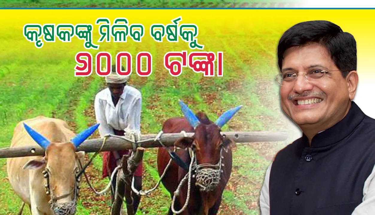  ୨୦୧୯-୨୦ କାମଚଳା ବଜେଟ୍‌:  କୃଷକଙ୍କୁ ମିଳିବ ବାର୍ଷିକ ୬ ହଜାର ଟଙ୍କା;  ଉପକୃତ ହେବେ ୧୨ କୋଟି ଚାଷୀ