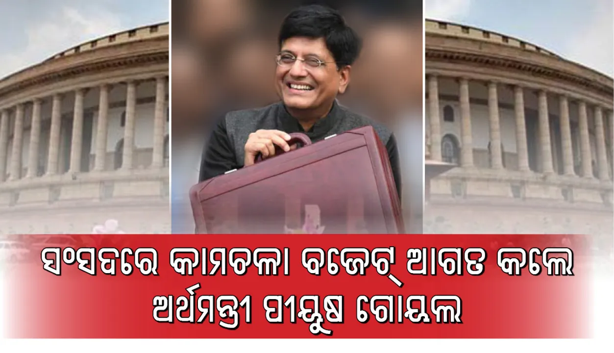  ସଂସଦରେ କାମଚଳା ବଜେଟ୍‌ ଆଗତ : ଅର୍ଥମନ୍ତ୍ରୀ ବଖାଣିଲେ ସରକାରଙ୍କ ସଫଳତା; ଦେଖନ୍ତୁ ସିଧା ପ୍ରସାରଣ