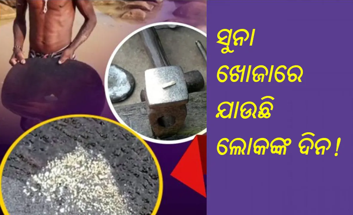 ଓଡ଼ିଶାର ଏହି ନଦୀ ପଠାରୁ ସୁନା ସଂଗ୍ରହ କରୁଛନ୍ତି ଗ୍ରାମବାସୀ, ମିଳୁଛି ଅସରନ୍ତି ବାଲି ସୁନା