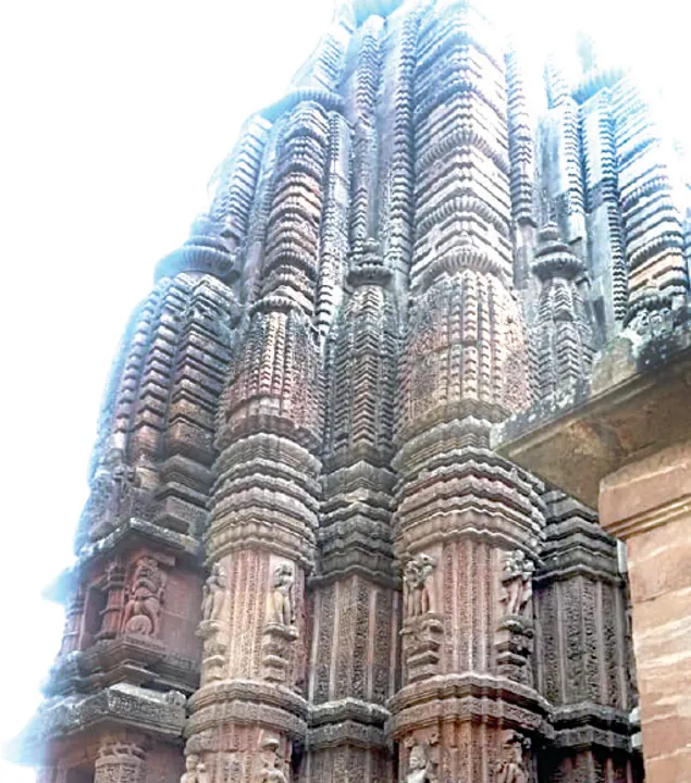  ରାଜାରାଣୀ ମନ୍ଦିର ପକ୍ଷୀଙ୍କ ପାଇଖାନା