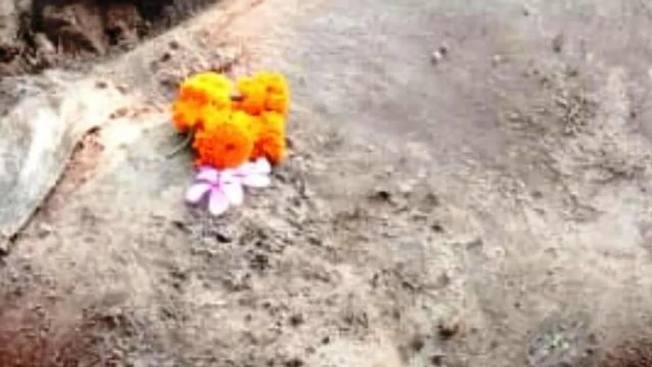  ରାଉରକେଲା: ରେଳବାଇ ଗାତରେ ପଡ଼ି ଛୁଆହାତୀ ମୃତ