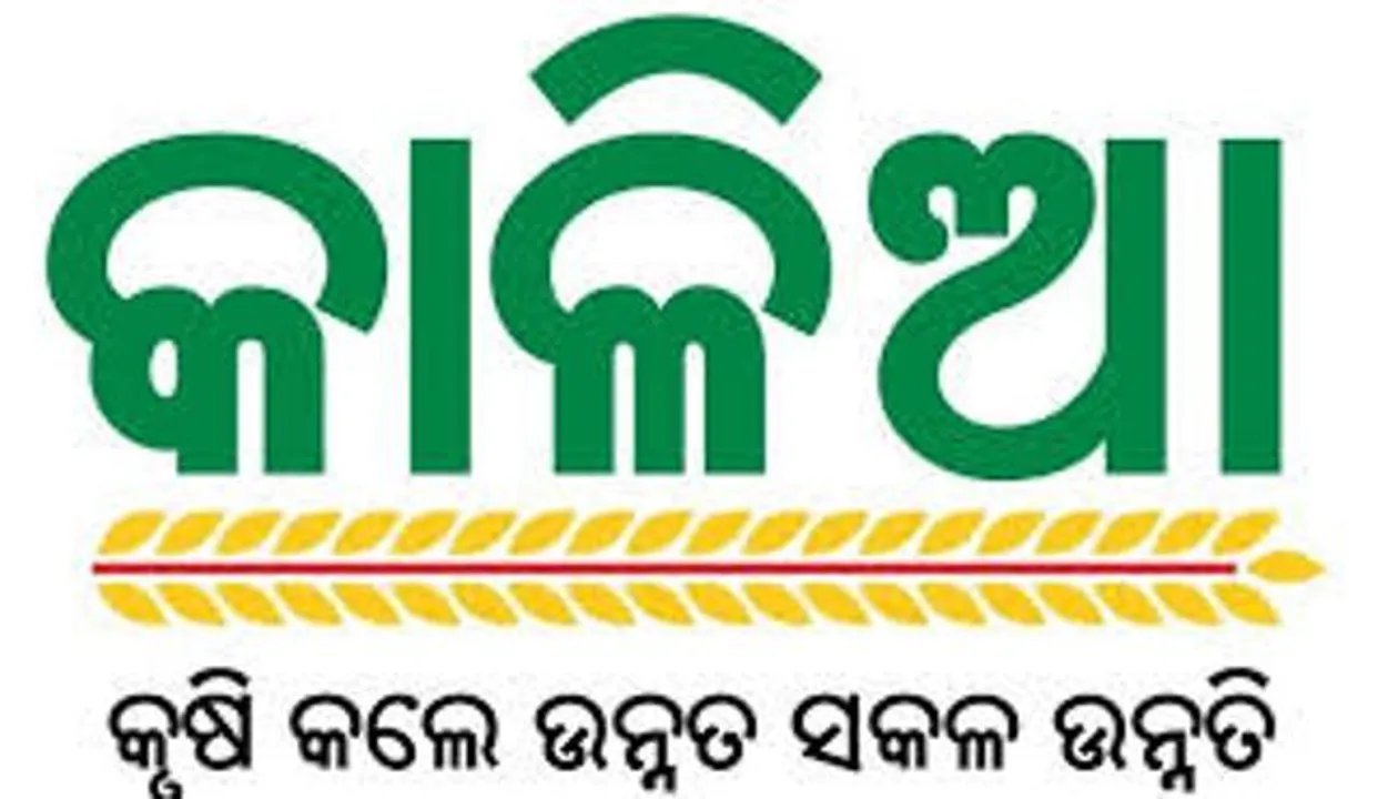  ଦ୍ବିତୀୟ ପର୍ଯ୍ୟାୟ କାଳିଆ ସହାୟତା ୨୧ରେ
