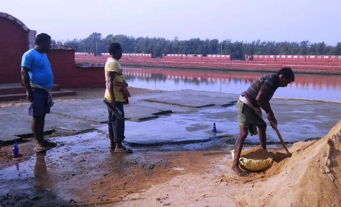  ମାଘ ସପ୍ତମୀ ପାଇଁ ପ୍ରସ୍ତୁତି : ତୀର୍ଥ ପୁଷ୍କରିଣୀ ପାଚେରୀ ଓ ମଣ୍ଡପ ମରାମତି ଆରମ୍ଭ