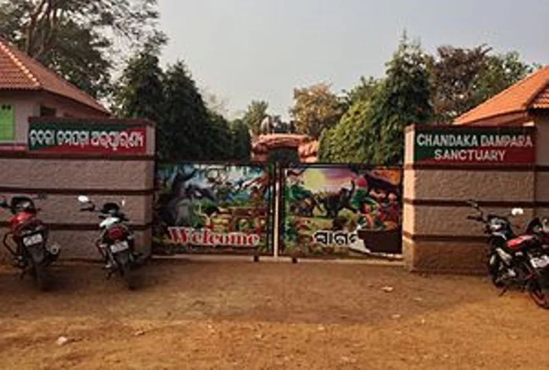  ଚନ୍ଦକା-ଡମପଡ଼ା ବନ୍ୟପ୍ରାଣୀ ଅଭୟାରଣ୍ୟରେ ଜଙ୍ଗଲ ସଫାରି ଶୁଭାରମ୍ଭ