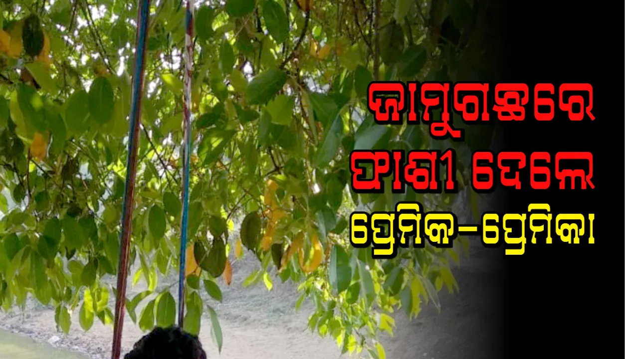  ନବରଙ୍ଗପୁର: ଜାମୁଗଛରେ ଫାଶୀ ଲଗାଇ ଜୀବନ ହାରିଲେ ପ୍ରେମିକ-ପ୍ରେମିକା