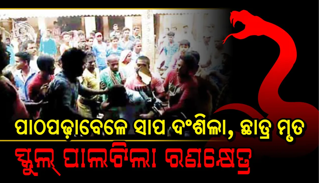  ପାଠପଢ଼ାବେଳେ ସାପ ଦଂଶିଲା, ଛାତ୍ର ମୃତ, ସ୍କୁଲ୍‌ ପାଲଟିଲା ରଣକ୍ଷେତ୍ର
