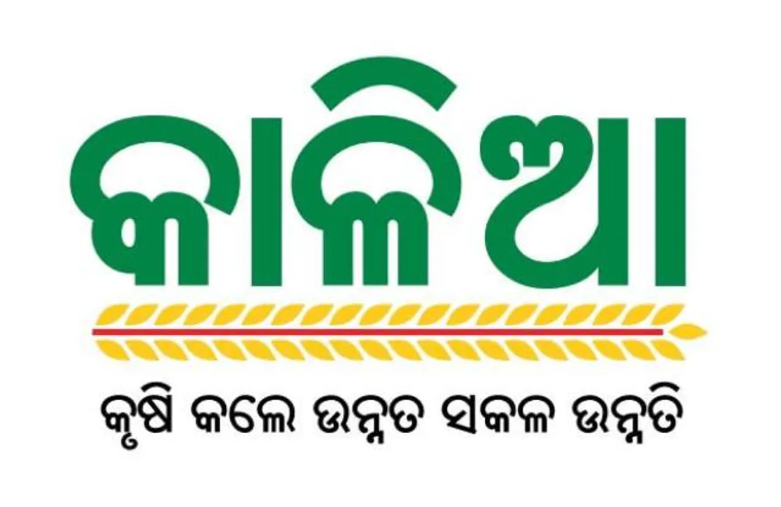  କାଳିଆ ସହାୟତା ବନ୍ଦ ନକରିବାକୁ ମୁଖ୍ୟ ନିର୍ବାଚନ ଅଧିକାରୀଙ୍କୁ ଜଣାଇଲା ବିଜେଡି