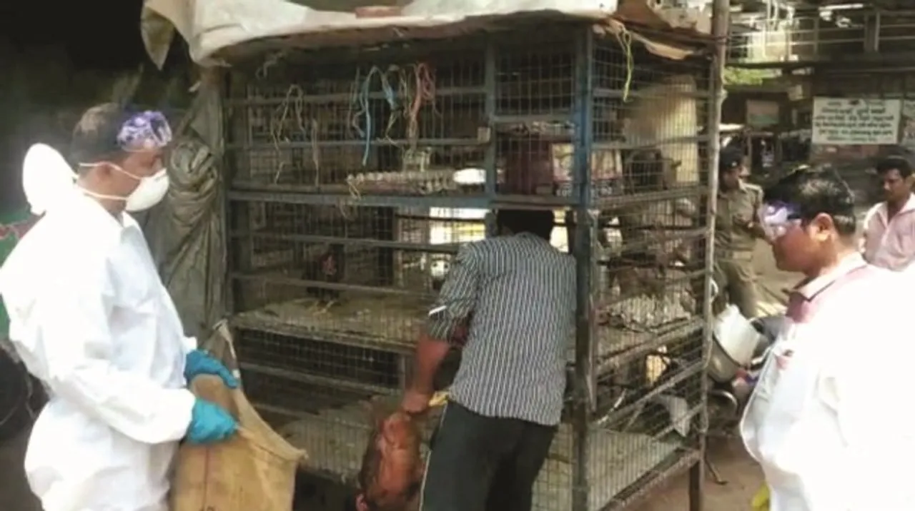  କଟକରେ ବାର୍ଡ ଫ୍ଲୁ : ଚିକେନ୍‌ ଏବଂ ଅଣ୍ଡା ନ ଖାଇବାକୁ ଜିଲ୍ଲା ପ୍ରଶାସନ ପକ୍ଷରୁ ଲୋକମାନଙ୍କୁ ପରାମର୍ଶ