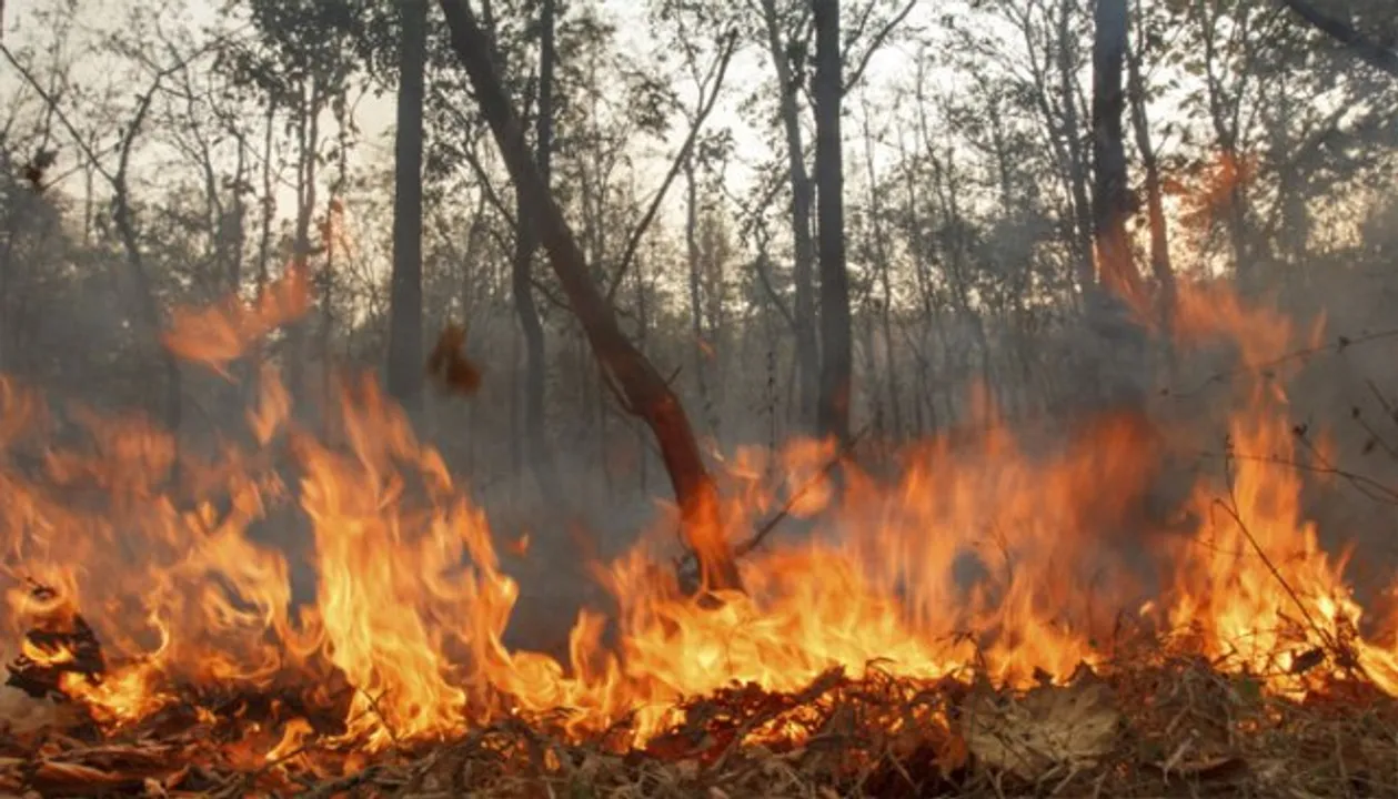  photo by : zeenews.india.com 