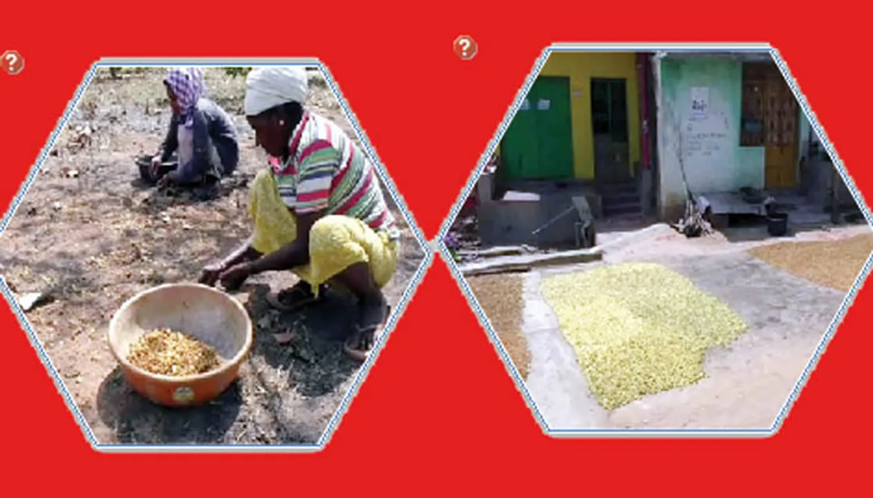  ବ୍ୟବସାୟୀଙ୍କ ନିୟନ୍ତ୍ରଣରେ ମହୁଲ ଦର, କ୍ଷତି ସହୁଛନ୍ତି ସଂଗ୍ରହକାରୀ