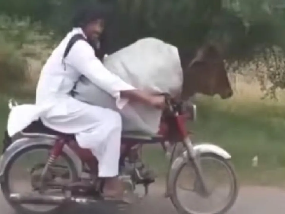  Photo Credit: YouTube 