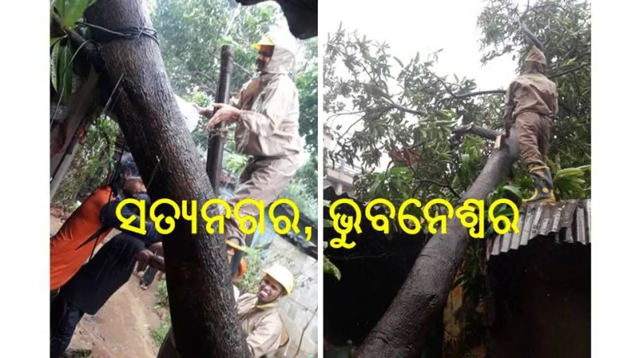  ଭୁବନେଶ୍ୱରରେ ତାଣ୍ଡବ ରଚାଇଲା ଫନି, ୧୭୦ ବେଗରେ ଆସି ଭାଙ୍ଗିଲା ମହାଦ୍ରୁମ