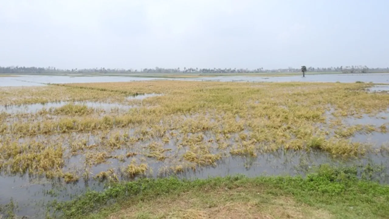  ‘ଫନି’ ବାତ୍ୟାରେ ଫସଲ ନଷ୍ଟ ନେଇ ସରକାରଙ୍କ ପ୍ରାଥମିକ ଆକଳନ, ଲକ୍ଷେ ହେକ୍ଟର ଜମିରେ ୩୩% ଫସଲ କ୍ଷତି