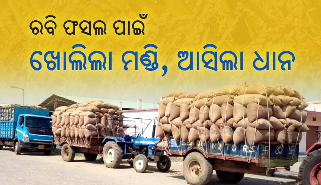  ସମ୍ବଲପୁରରେ ରବି ଧାନ ପାଇଁ ଖୋଲିଲା ମଣ୍ଡି, ପ୍ରାପ୍ୟ ପାଇବାରେ ହୋଇପାରେ ବିଳମ୍ବ