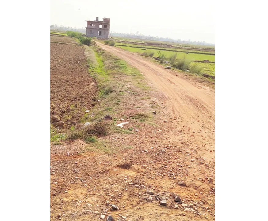  ପରି କେନାଲକୁ ପୋତିଦେଲେ, ପଞ୍ଚୁପଲ୍ଲୀରେ ବନ୍ଦ ହୋଇଯିବ ଚାଷ