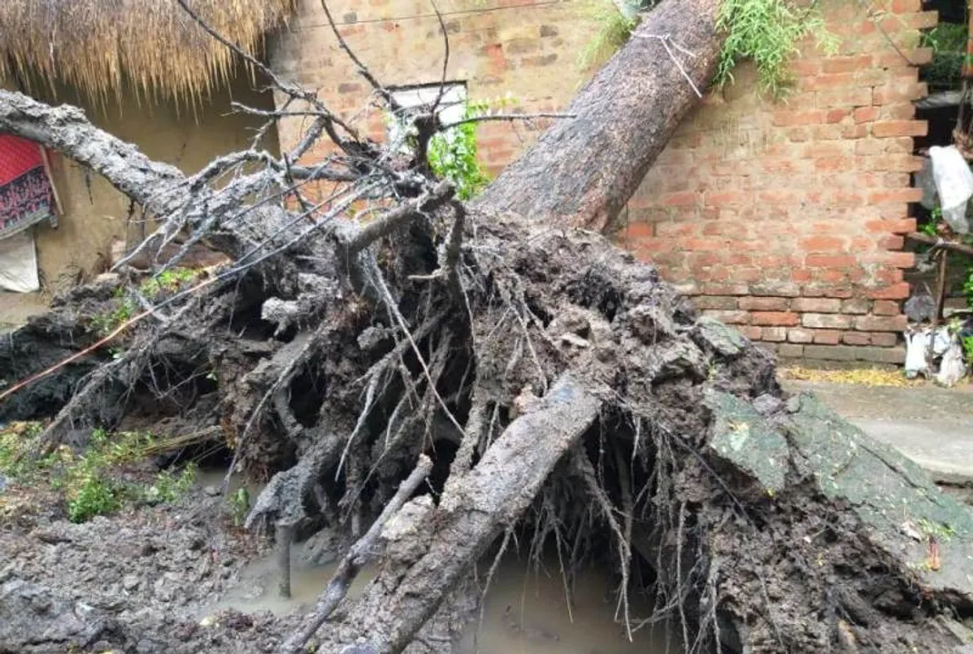  ଭୁବନେଶ୍ୱର-ବାଲେଶ୍ୱରରେ କାଳବୈଶାଖୀ ପରେ ଘଡ଼ଘଡ଼ି ସହ ବର୍ଷା, ଉପୁଡି ପଡ଼ିଲା ମହାଦ୍ରୁମ