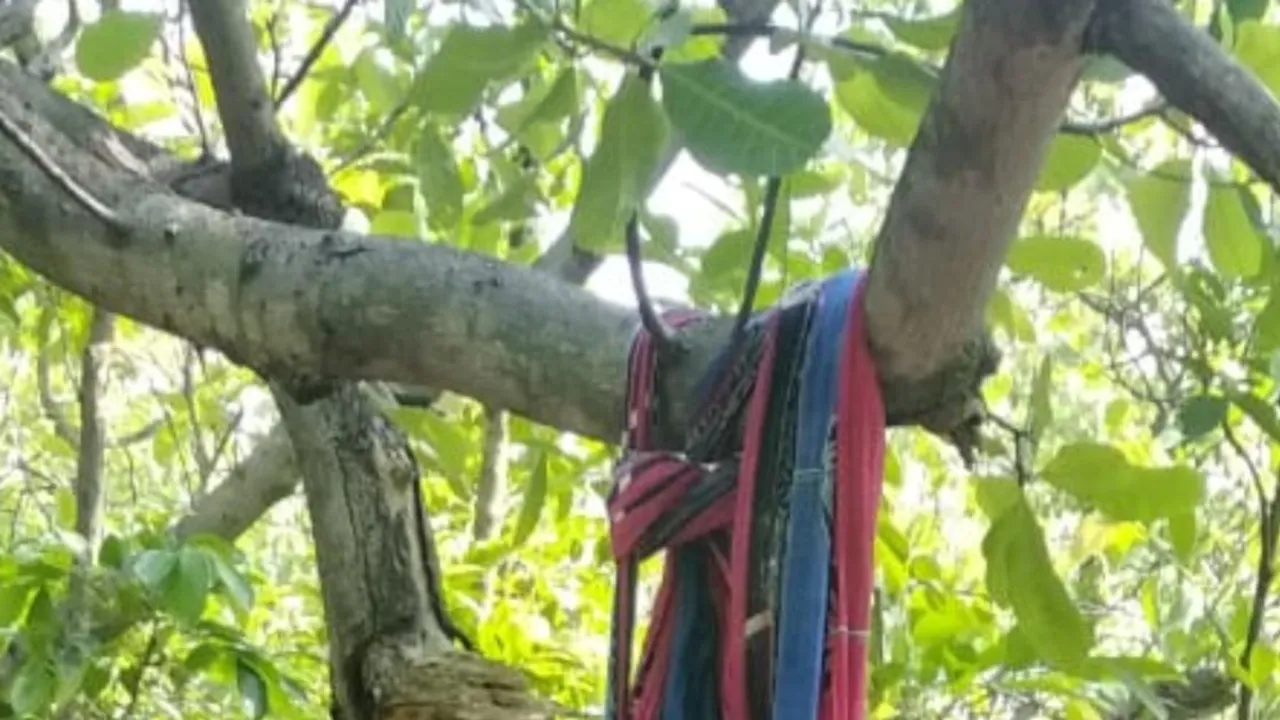  କେନ୍ଦୁଝର: କାଜୁବାଦାମ ଗଛରେ ଝୁଲୁଛି ଦୁଷ୍କର୍ମ ପରେ ହତ୍ୟା କରାଯାଇଥିବା ମହିଳାଙ୍କ ଶବ