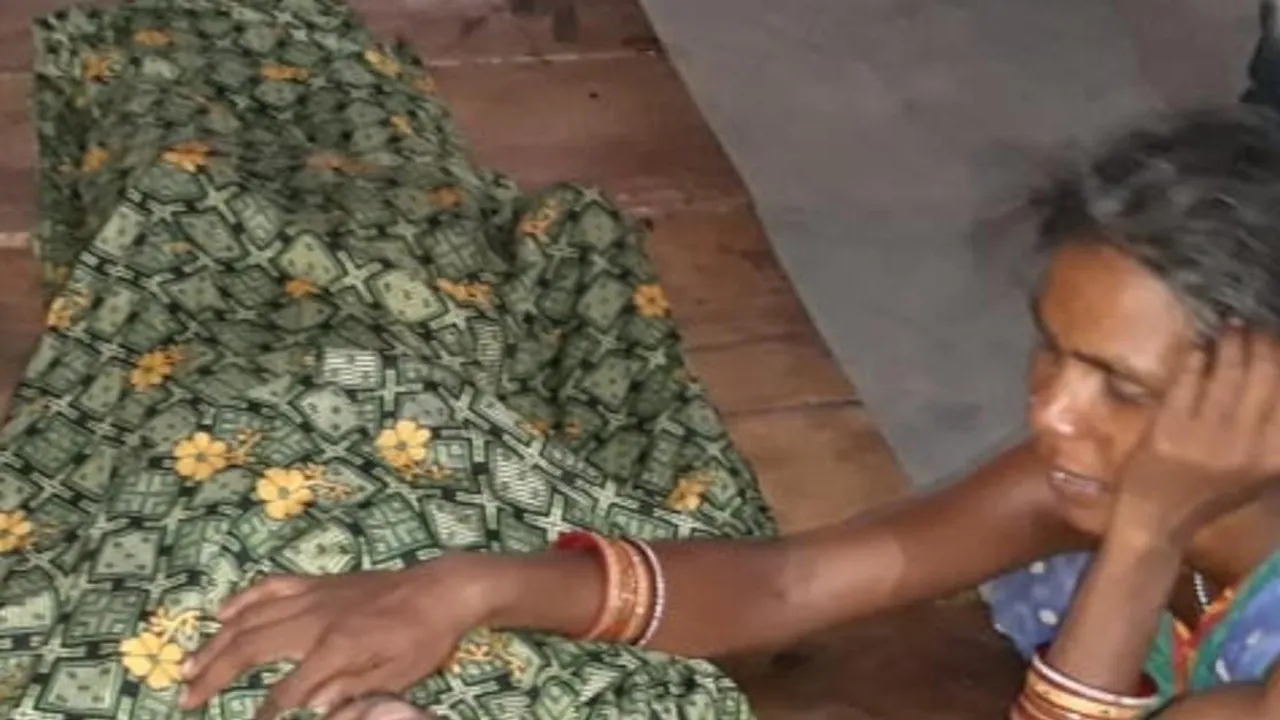  ଦଶପଲ୍ଲା: ବିଜୁଳି ଆଘାତରେ ଖୁଡୁତାଶୁର ଓ ଝିଆରୀଜ୍ୱାଇଁ ମୃତ
