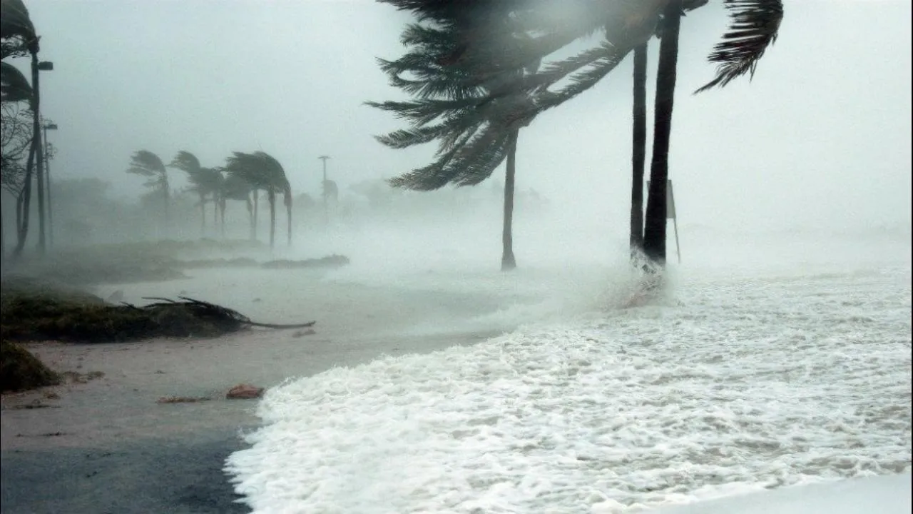  weather.com 