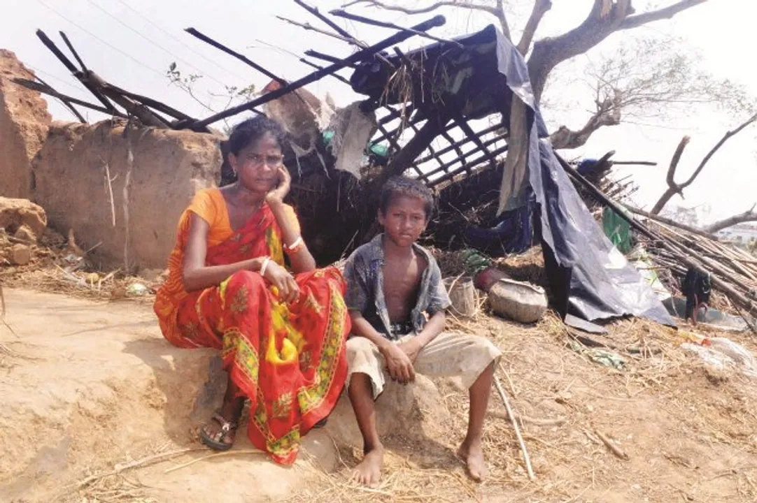  ଫନି’ର ସାତ ଦିନ ପରେ ଗଛମୂଳେ ଆଶ୍ରୟ ନେଇଛନ୍ତି ବିପନ୍ନ