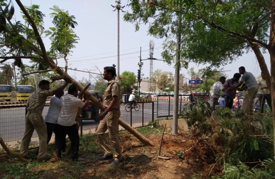  ଫନି ପ୍ରଭାବିତ ଗଛ ବଞ୍ଚାଇବାକୁ ନୂଆ ଯୋଜନା : ସିଧା ଛିଡ଼ା ହେଲାଣି ୭ ହଜାର, ୩୦ ହଜାର ଗଛକୁ ସିଧା କରିବ ବନ ବିଭାଗ