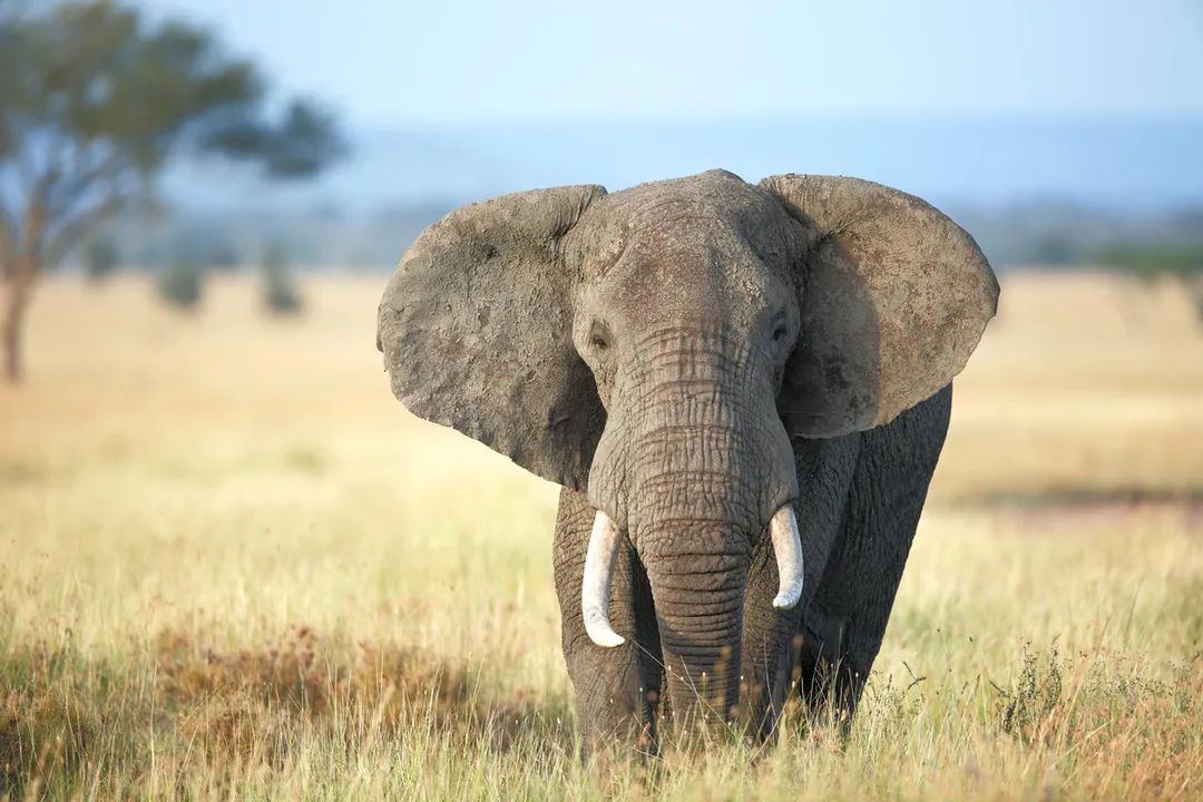  photo-nrdc 