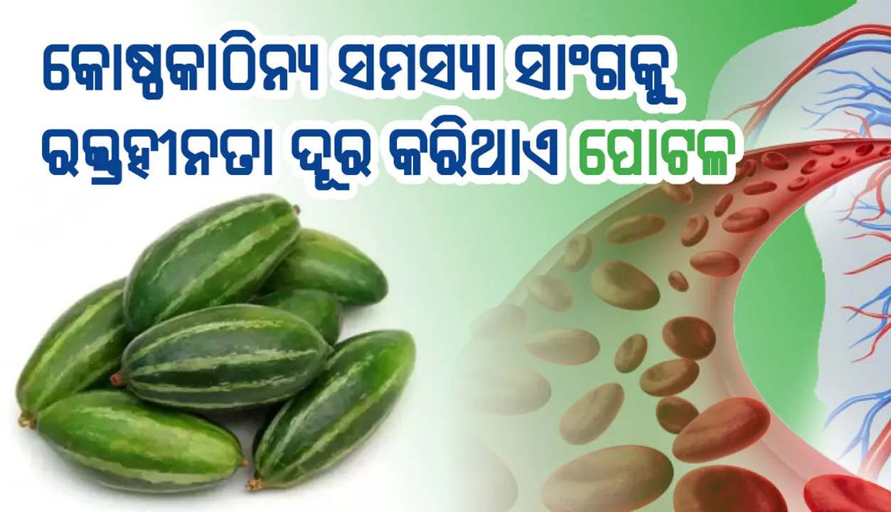  କୋଷ୍ଠକାଠିନ୍ୟ ସମସ୍ୟା ସାଂଗକୁ ରକ୍ତହୀନତା ଦୂର କରିଥାଏ ପୋଟଳ